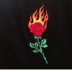 Flaminqroses