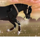 Riding a horse! Come and RIDE!