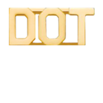 DiRe City Department of Transport