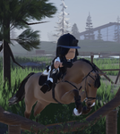 Royal riders riding acedemy