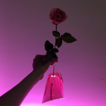☹ deranged ☹