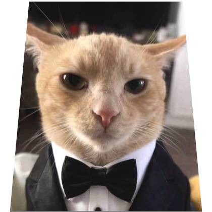 Business Cat Funny Cape