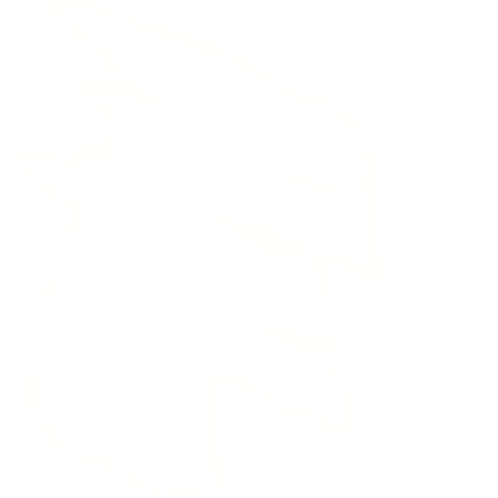 [Glowing] [Animated] White Dragon Emmisive