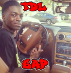 SAPTDL
