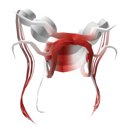 Hydra