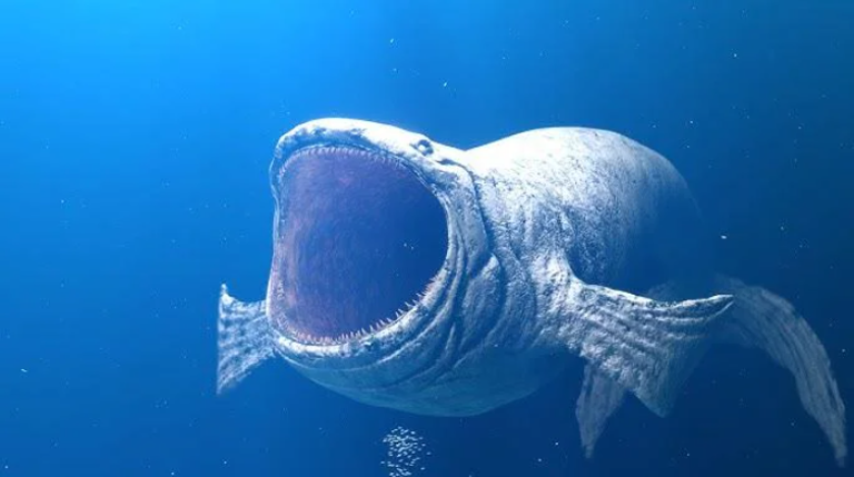 Bloop Scp 096 screenshot 1