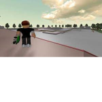 Skate Professionals