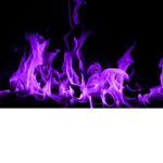 *The purple people*