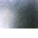 Fgttev