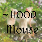 ~hoodr4tz