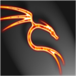 Dragons Nest