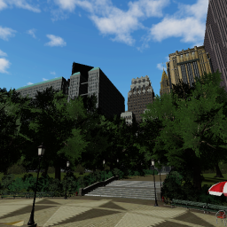 Life or Death: New York City