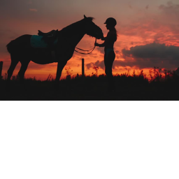 ~*New Harmony Oaks Stables*~