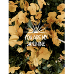 Sunshine Power Club