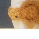Timmy teddy