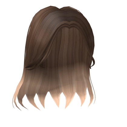 Aesthetic Girl Hair in Brown to Blonde  Roblox item