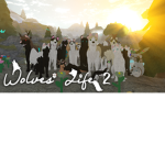 Different kind of wolfs