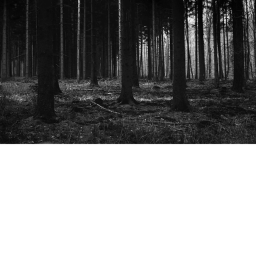 Horror game for bored people!