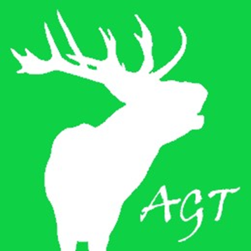 Animal Game Template