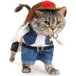 joe cat