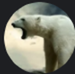 Polar Bear Cove
