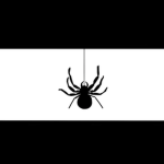 The Spider Republic
