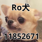 Ro犬