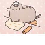 ~pusheen the cat~
