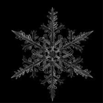Snow.corp