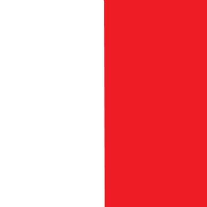 Red and white Roblox decal