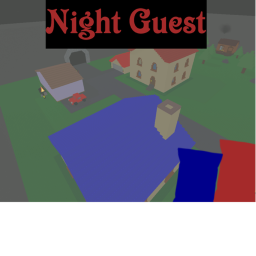 Night Guest