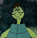 _Turtle Clothing_