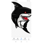 THE SHARK FANS OF THE OCEAN