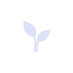 OPS | Oakwood Primary School