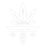 Koyā