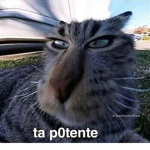 Se sortean robux todos los meses :D