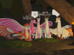 The SilkWing club!