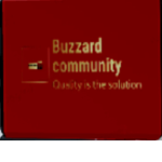 The Buzzard Community