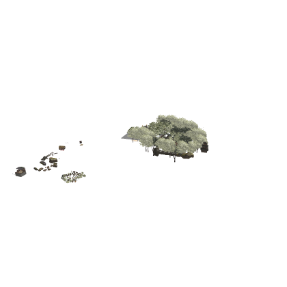 forest_china