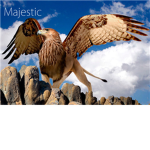The Majestic Theater Co.