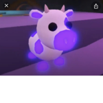 Lovey cows
