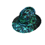 THE UGLY HAT