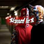 $karred lie$