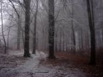 crimveil