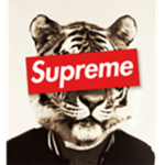 Shuv Clothing