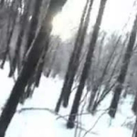 everywinter