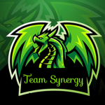Team Synergy Esports