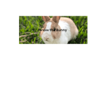 Snow the Rabbit