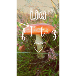 ..liafitz