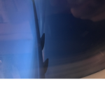 RgfhfgRobuxr